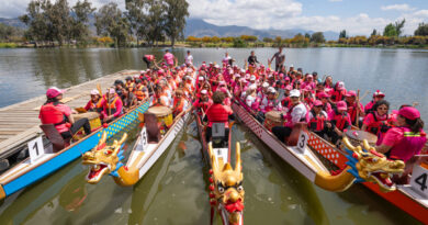 Carrera de botes de dragón, una tradición del Festival del Bote de Dragón.
