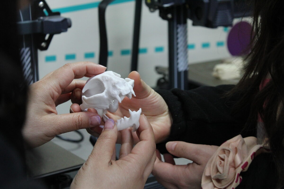 Muestra de un modelo anatómico impreso en 3D utilizado para el aprendizaje práctico de los estudiantes.