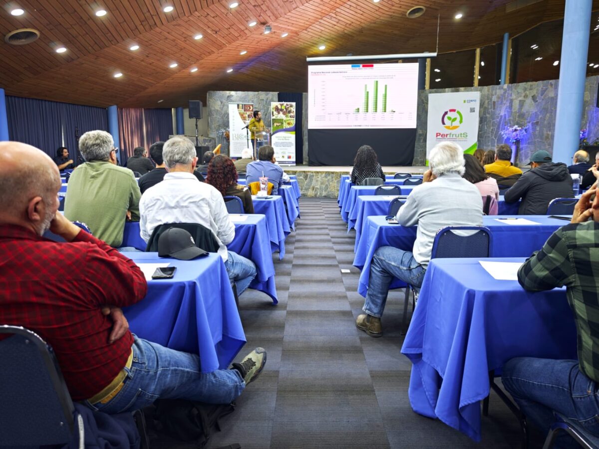 Participantes de espaldas observan una presentación en un seminario sobre Systems Approach.
