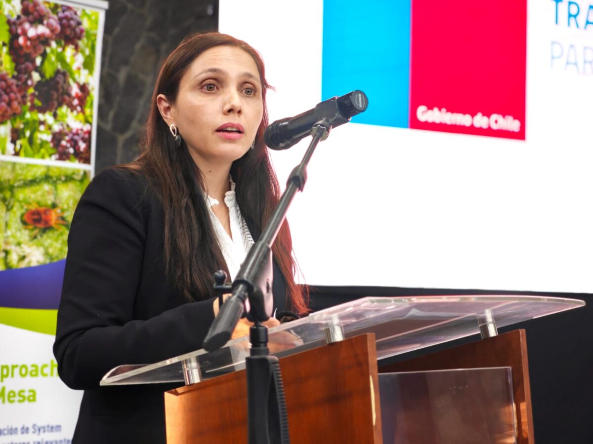 Carolina Fuentes, ejecutiva de Innovación de la FIA, habla en un atril durante el seminario.