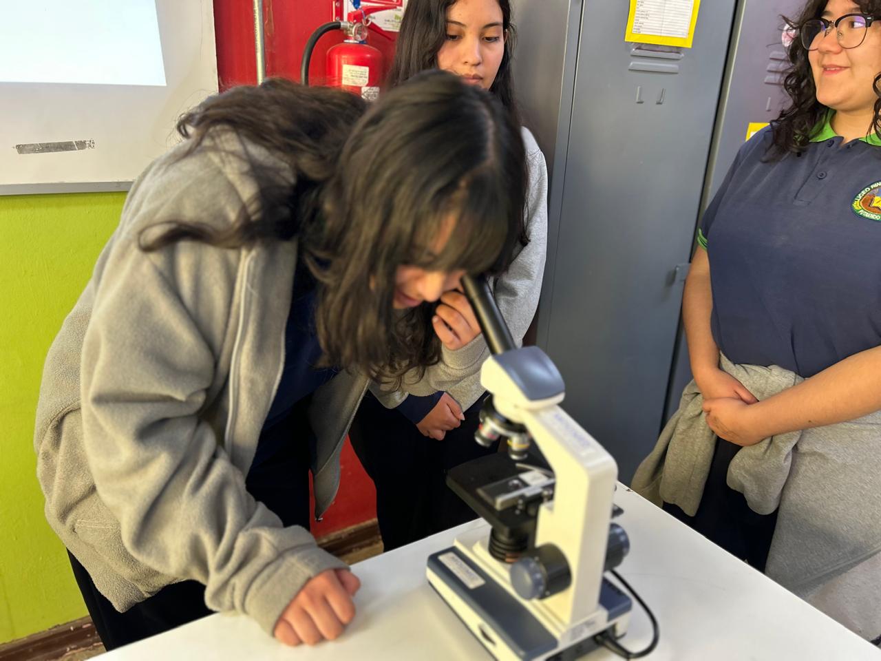 Estudiante del Liceo Rinconada de Silva utilizando un microscopio en el nuevo laboratorio.