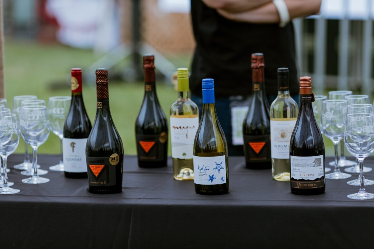 Variedad de vinos listos para degustación en evento de enoturismo.