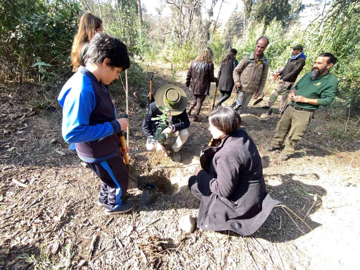 Estudiantes y adultos plantando un árbol nativo en el Jardín Botánico.