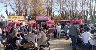 Vista general del Panini Fest en Villa Alemana con food trucks y público disfrutando del evento.