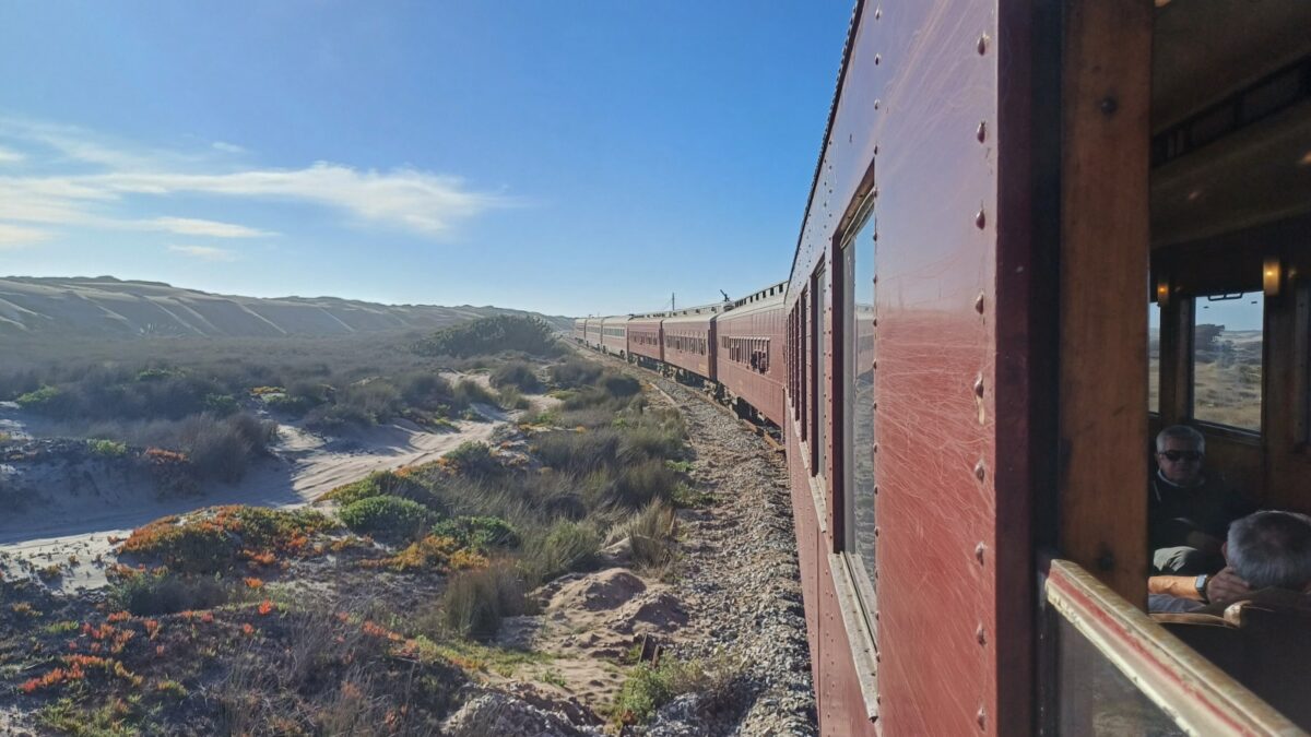 Vista lateral del Tren del Recuerdo serpenteando junto a dunas y vegetación en la costa.