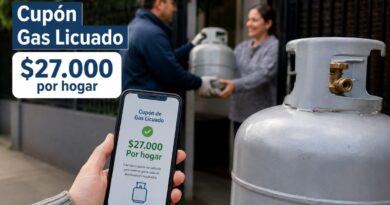 Imagen promocional del cupón de gas licuado mostrando un teléfono móvil con la aplicación y un cilindro de gas.