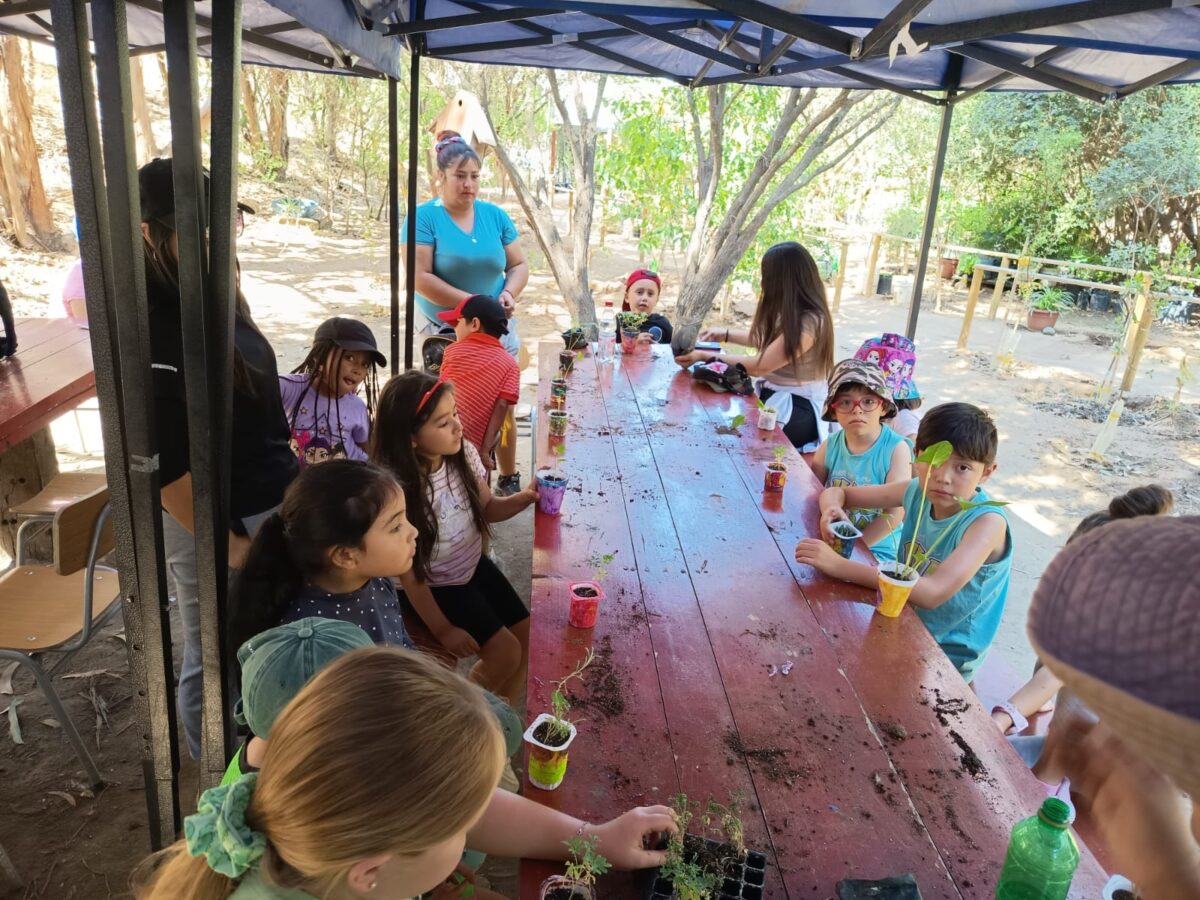 Niños y niñas reunidos alrededor de una mesa de madera al aire libre, trabajando en actividades de jardinería y plantación.