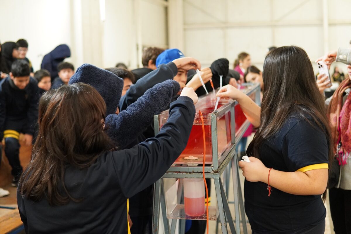 Un grupo de estudiantes interactuando con un experimento de líquidos de diferentes densidades en un recipiente.