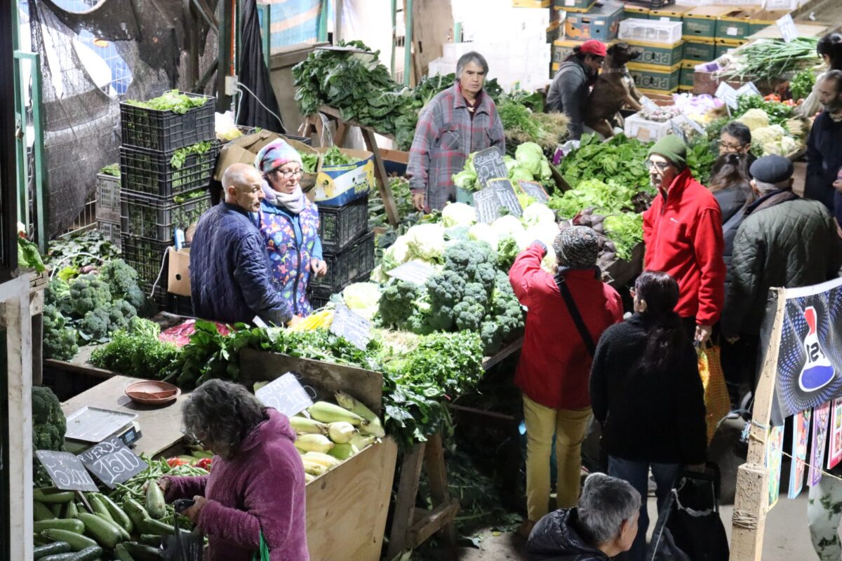 Vista general de los puestos de frutas y verduras en la Feria El Belloto de Quilpué.