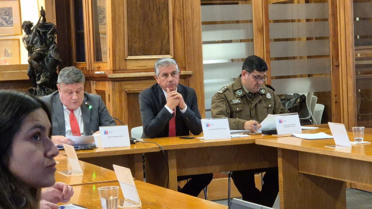 Autoridades y representantes de Carabineros analizando las prioridades de seguridad para la región.