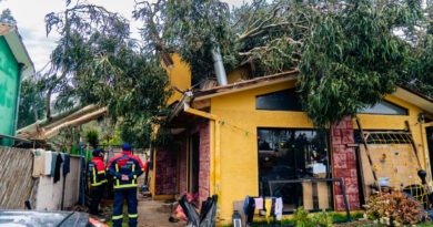Personal de emergencia trabajando en la remoción de un árbol caído sobre una vivienda en Quilpué.