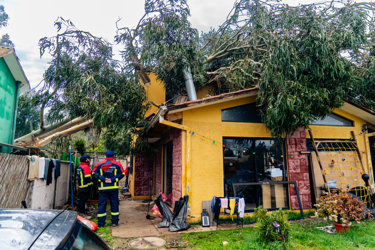 Personal de emergencia trabajando en la remoción de un árbol caído sobre una vivienda en Quilpué.