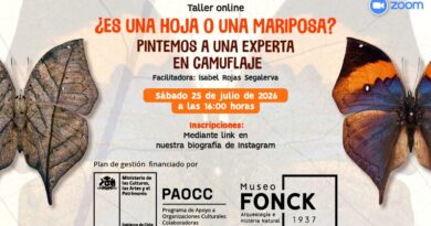 Gráfica promocional del taller online sobre la mariposa hoja organizado por el Museo Fonck.