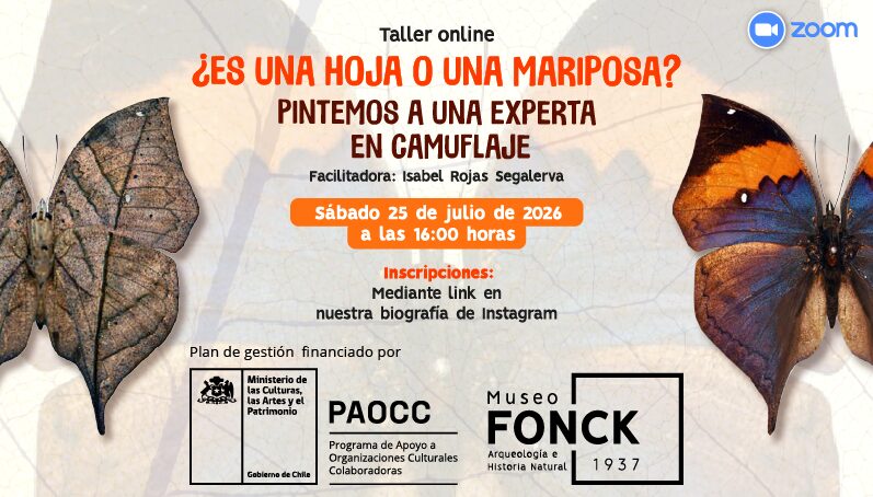 Gráfica promocional del taller online sobre la mariposa hoja organizado por el Museo Fonck.