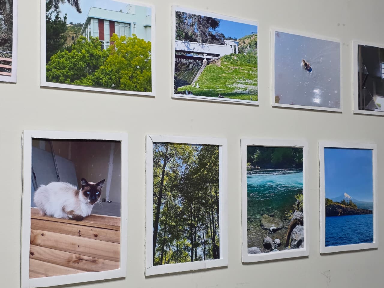 Detalle de las fotografías capturadas por los jóvenes expuestas en la galería.