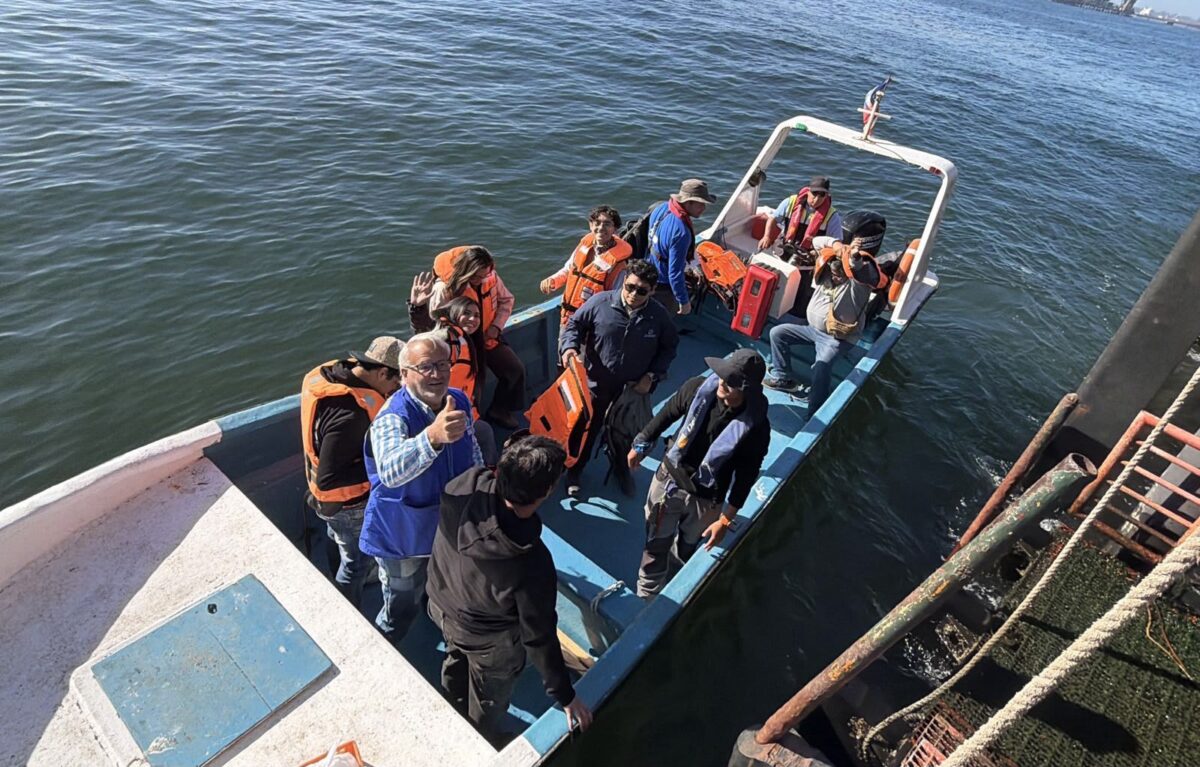 Dirigentes comunitarios y equipo técnico realizando monitoreo participativo en la bahía de Quintero y Puchuncaví.