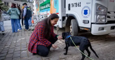 La alcaldesa de Valparaíso interactúa con un perro en el marco de la habilitación del refugio temporal.