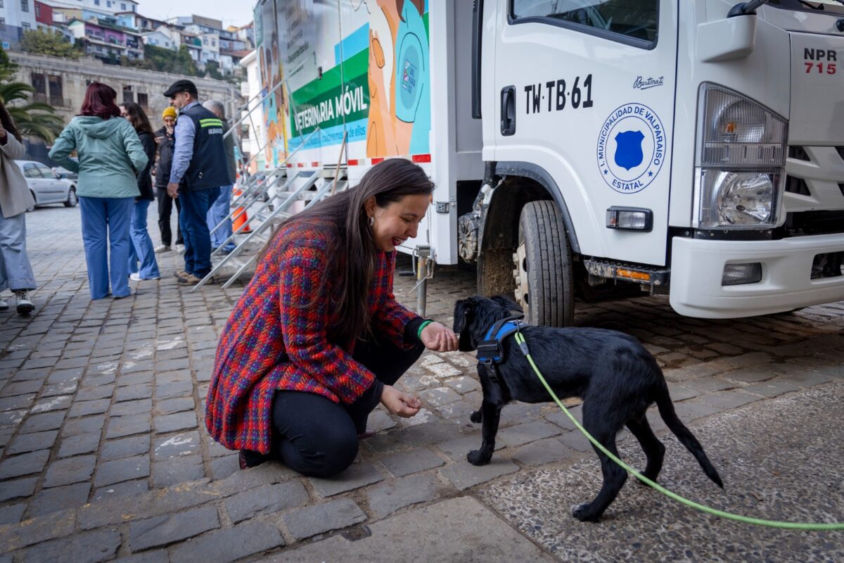 La alcaldesa de Valparaíso interactúa con un perro en el marco de la habilitación del refugio temporal.