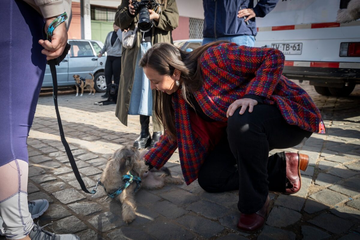 La alcaldesa de Valparaíso junto a uno de los animales rescatados durante la jornada.