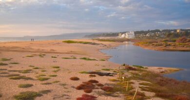 Vista panorámica del humedal de Algarrobo donde se realizan trabajos preventivos.