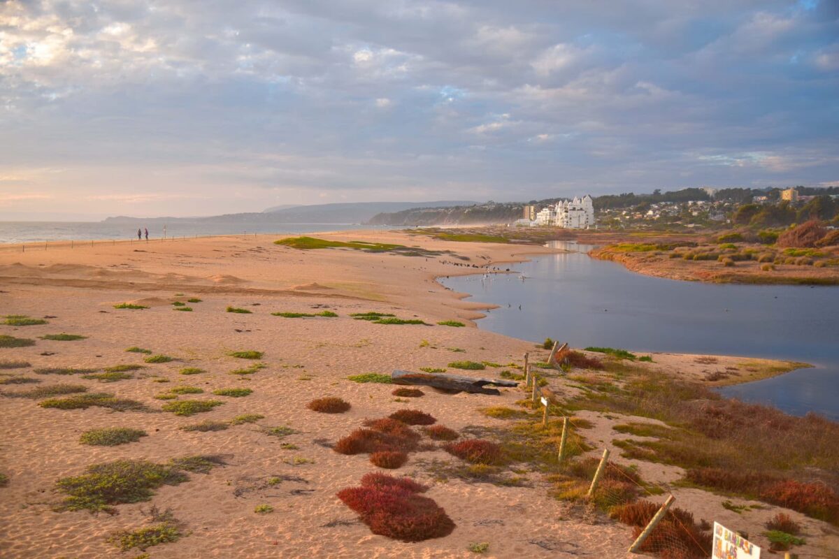 Vista panorámica del humedal de Algarrobo donde se realizan trabajos preventivos.