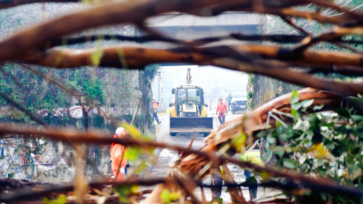 Maquinaria pesada realizando labores de despeje en la vía pública tras la emergencia eléctrica.
