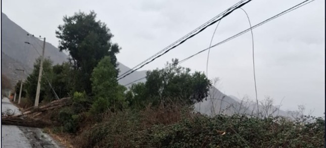 Trabajos de reparación en tendido eléctrico tras caída de árboles.
