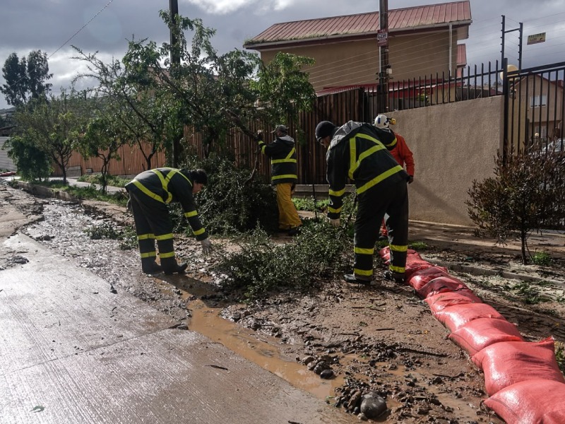 Equipos de emergencia trabajando en el despeje de árboles caídos tras el sistema frontal.