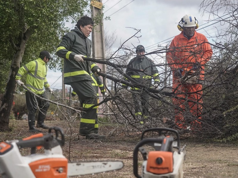 Personal de emergencia utilizando motosierras para remover escombros arbóreos.
