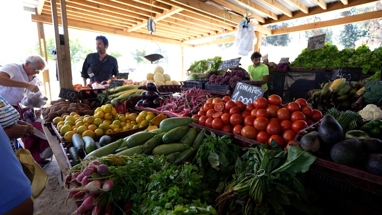 Variedad de productos agrícolas en los puestos de feria.