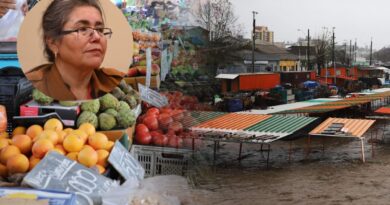 Vista de una feria libre afectada por inundaciones y retrato de la presidenta de ASOF, Paola Morales.