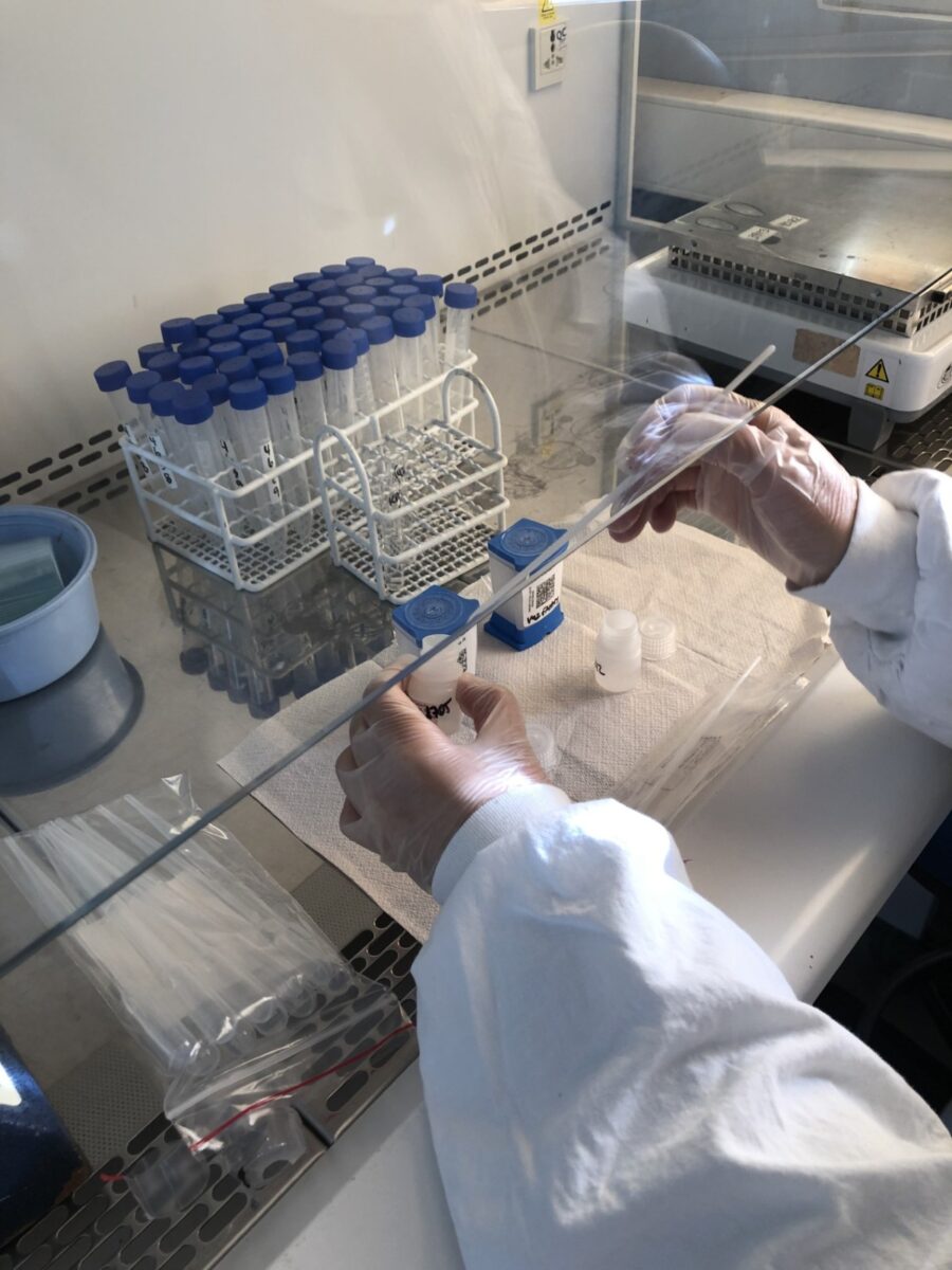 Muestras de laboratorio utilizadas en la investigación sobre resistencia bacteriana.