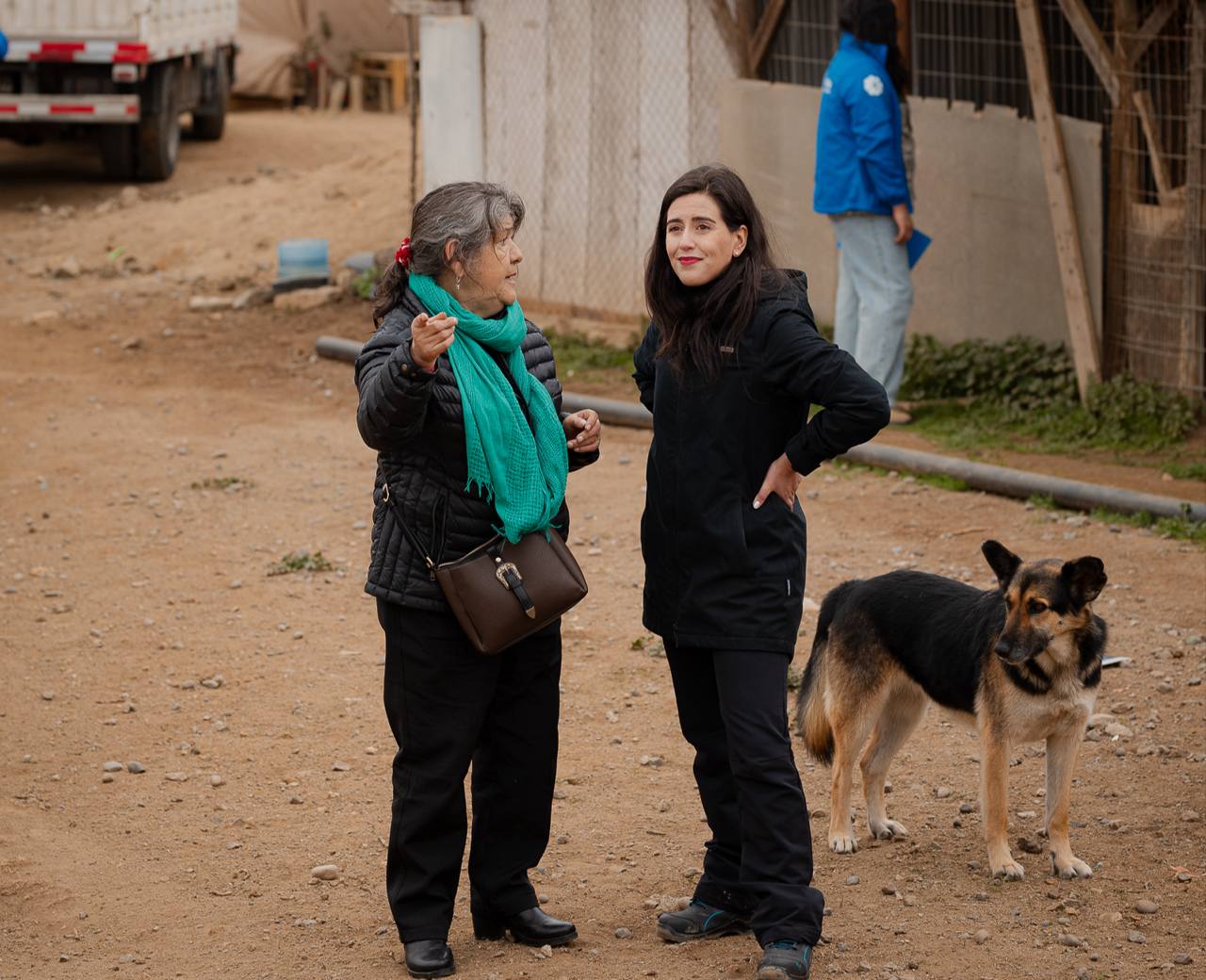 Municipio de Viña del Mar refuerza medidas de protección en refugios de animales ante frente climático