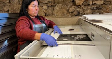 Viviana Zúñiga Rocha, encargada del Archivo de Artes Visuales, revisando obras del Fondo de las Artes de la UPLA.