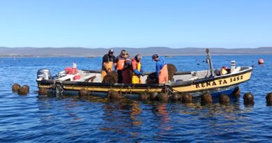 Pescadores artesanales trabajando en una embarcación en alta mar.