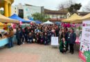 Participantes de la Feria de la Lactancia Materna en la Plaza de Armas de Quillota.