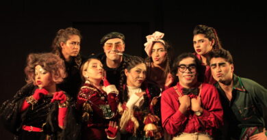 Elenco de la obra Las Palomas de Choferillo en escena.