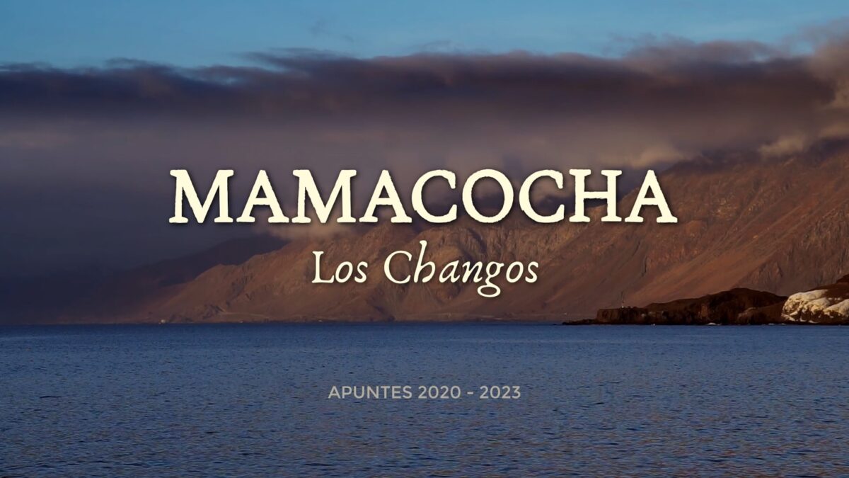 Paisaje costero del norte de Chile, escenario principal del documental sobre el pueblo chango.
