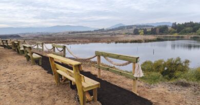 Nuevas bancas y barandas de madera instaladas en el humedal Los Maitenes Campiche.