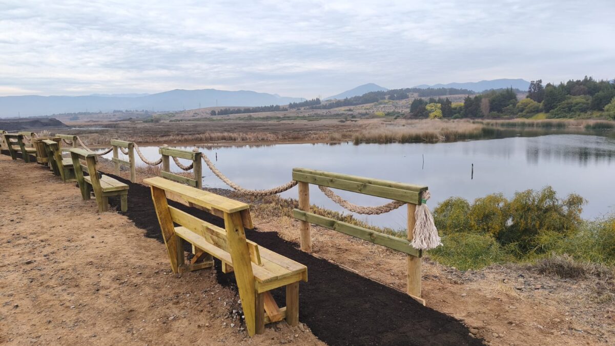Nuevas bancas y barandas de madera instaladas en el humedal Los Maitenes Campiche.