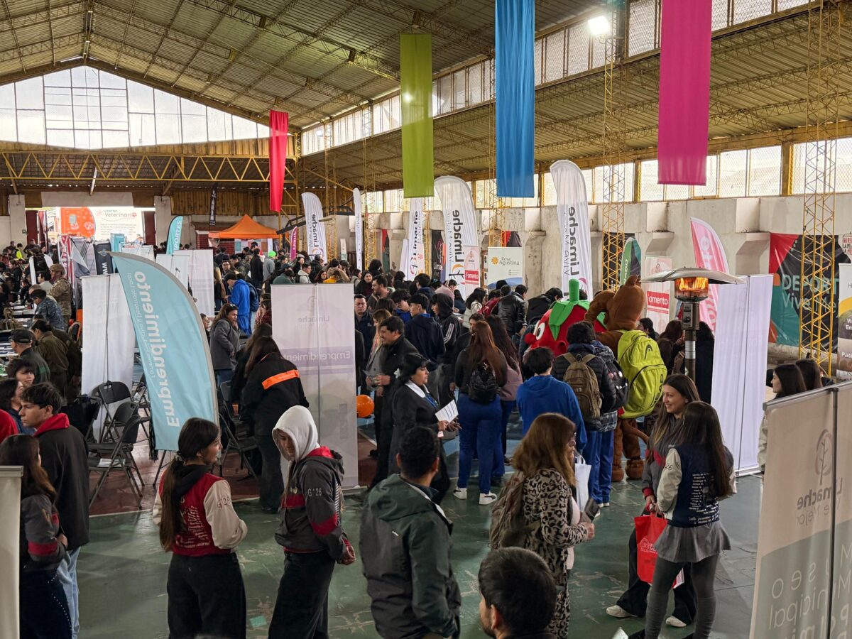 Vista general de la Feria Vocacional, Laboral y de Emprendimiento en el Gimnasio Municipal de Limache.